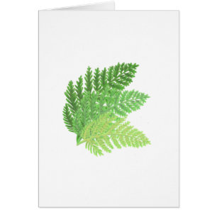 Elegant green watercolor ferns woodland leaves