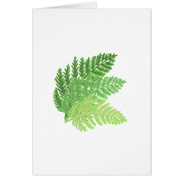 Elegant green watercolor ferns woodland leaves (Front)