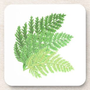 Elegant green watercolor ferns woodland leaves coaster