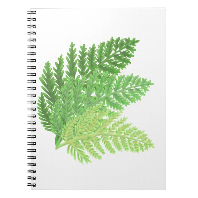 Elegant green watercolor ferns woodland leaves notebook (Front)