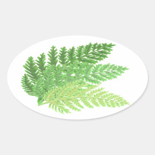 Elegant green watercolor ferns woodland leaves oval sticker