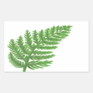 Elegant green watercolor ferns woodland leaves rectangular sticker