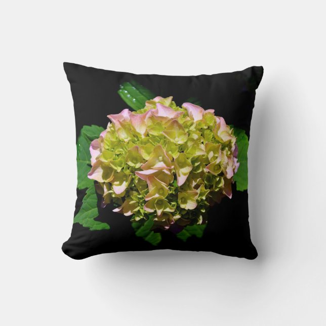 Elegant green yellow pink Hydrangea flowers Cushion (Front)