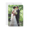 Elegant Handwriting Wedding Photo Thank You Card