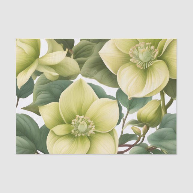 Elegant Hellebore Flowers Tissue Paper (Front)