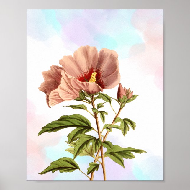 Elegant Hibiscus Flower Botanical Print (Front)