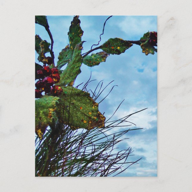 Elegant Holly Christmas,  blue sky Holiday Postcard (Front)