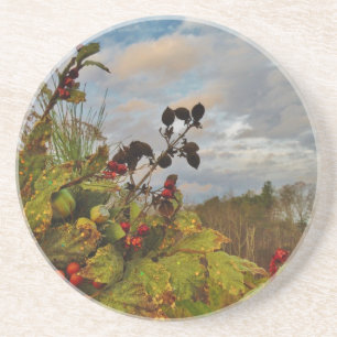 Elegant Holly Christmas, Coaster