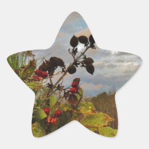 Elegant Holly Christmas, Star Sticker