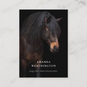 Elegant Horse Equestrian Equine Photography Business Card
