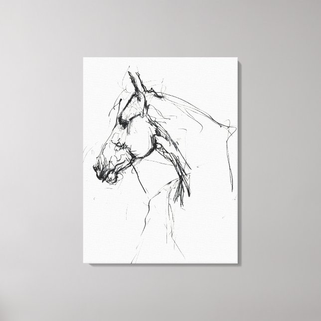 Elegant Horse Portrait Sketch - Premium Canvas Print (Front)