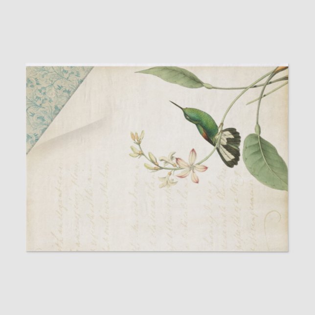 Elegant Hummingbird Ephemera Tissue Paper (Front)