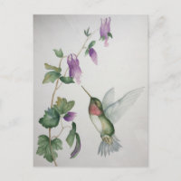 Elegant Hummingbird Garden Watercolor