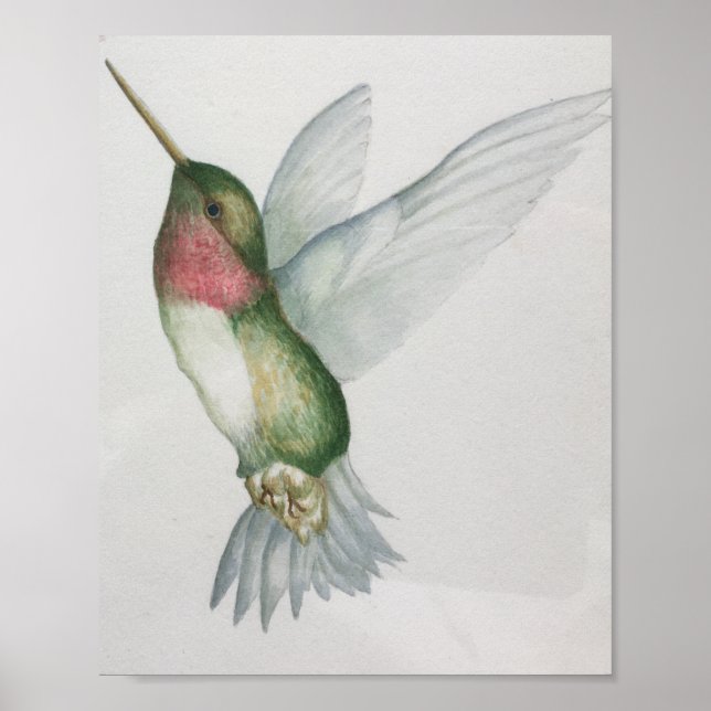 Elegant Hummingbird Watercolor Poster (Front)