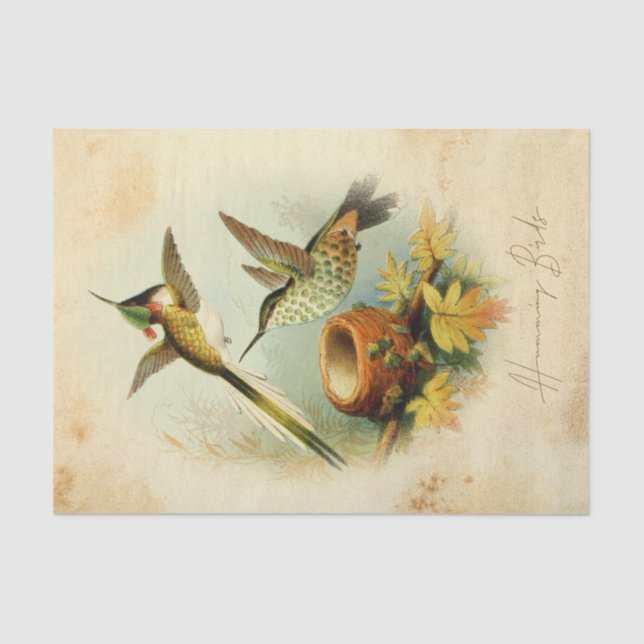 Elegant Hummingbirds Tissue Paper (Front)