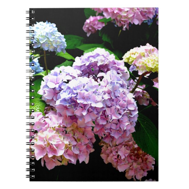 Elegant hydrangea gardens pink purple blue floral spiral notebook (Front)