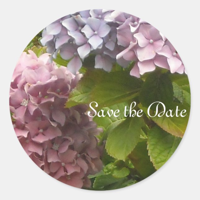 Elegant Hydrangeas Classic Round Sticker (Front)