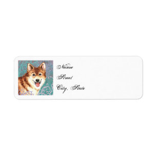 Elegant Icelandic Sheepdog