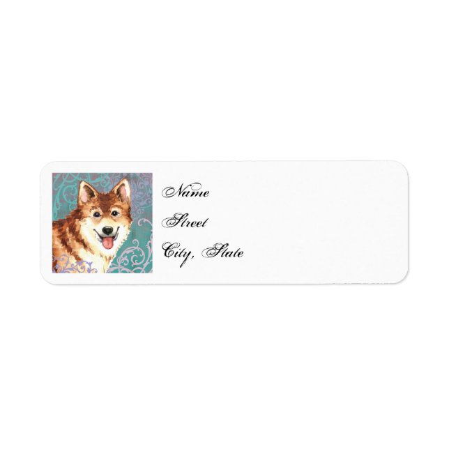 Elegant Icelandic Sheepdog (Front)