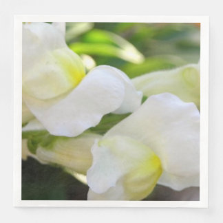 Elegant in White Napkin