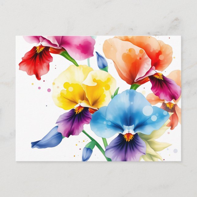 Elegant Iris Blooms with Watercolor Splatter  Postcard (Front)