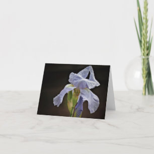Elegant Iris Note Card