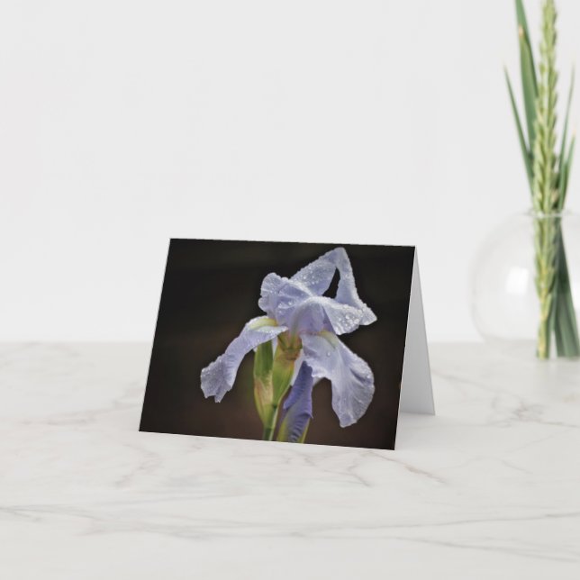 Elegant Iris Note Card (Front)