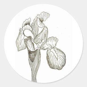 Elegant Iris Sticker