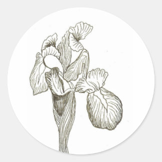 Elegant Iris Sticker
