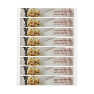 Elegant Ivory Yellow Roses Wrap Address Labels
