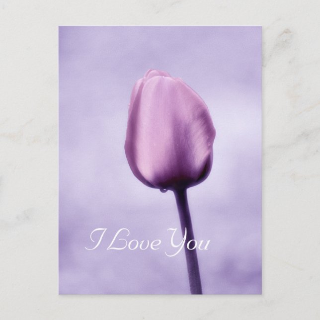Elegant Lavender Purple Tulip I Love You Postcard (Front)