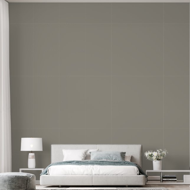 Elegant Light Grayish Brown Plain Solid Colour  Wallpaper (Bedroom)