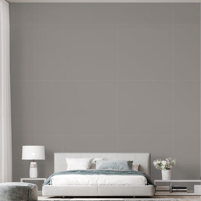 Elegant Light Grey Plain Solid Colour Bedroom Wallpaper (Bedroom)