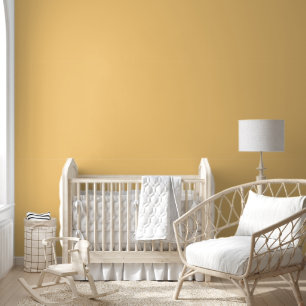 Elegant Light Orange Solid Colour  Wallpaper