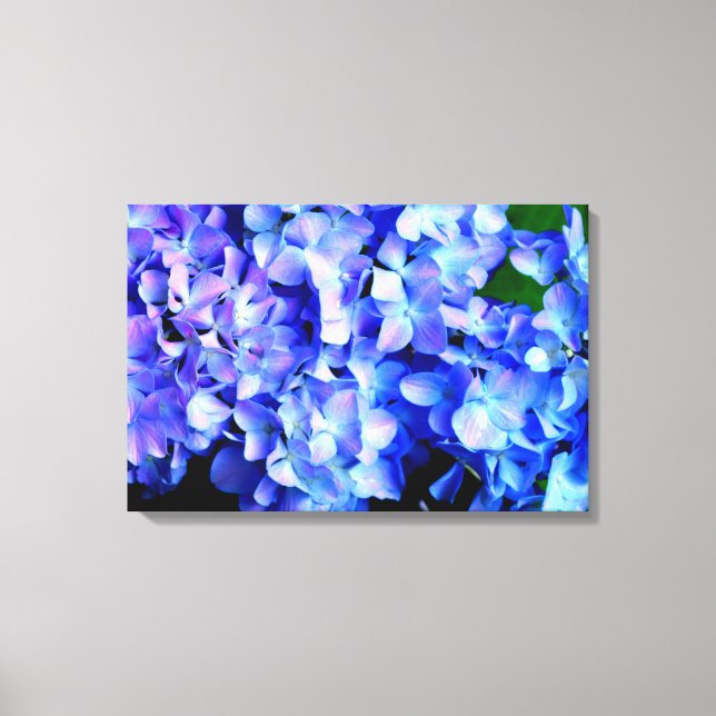 Elegant light purple blue magenta floral hydrangea canvas print (Front)