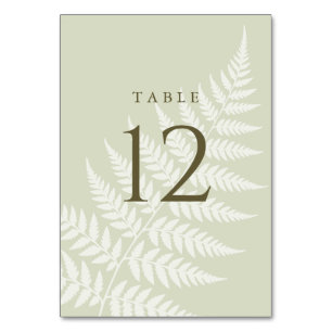 Elegant Light Sage Green White Fern Wedding Table Number