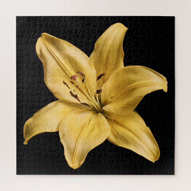 Elegant Lily Collection on Black Jigsaw Puzzle (Vertical)