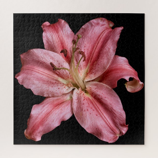Elegant Lily Collection on Black Jigsaw Puzzle (Vertical)