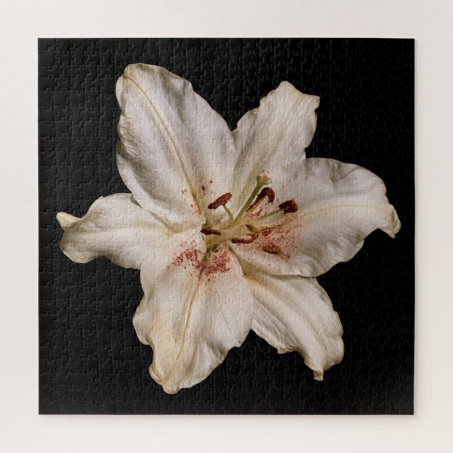 Elegant Lily Collection on Black Jigsaw Puzzle (Vertical)