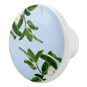 Elegant Magnolia Blossom Ceramic Knob