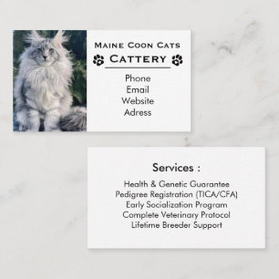 Elegant Maine Coon Cattery & Professional Breeder Business Card