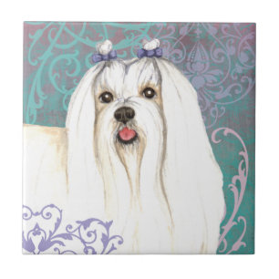 Elegant Maltese Tile