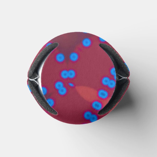 Elegant - MANDALA -PINK - RED Can Cooler (Bottom)