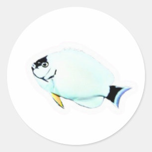​Elegant Masked Angelfish Die-Cut Sticker