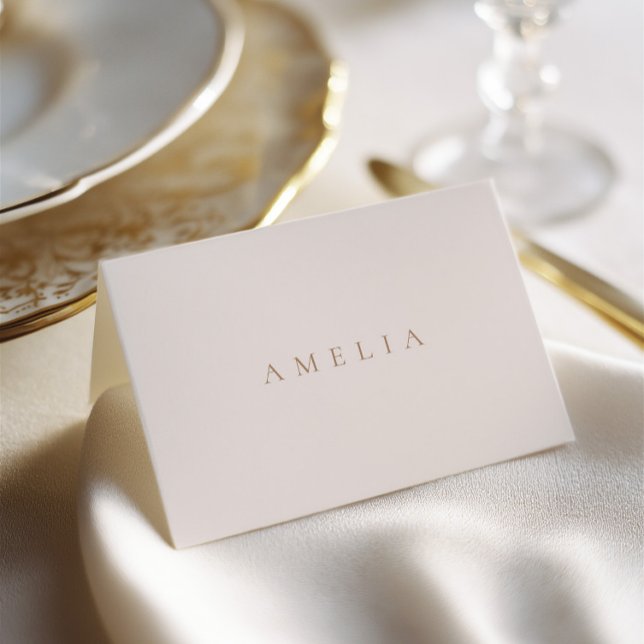 Elegant Minimalist Ivory Taupe Wedding Place Card (Elegant Minimalist Ivory Taupe Wedding Place Card)