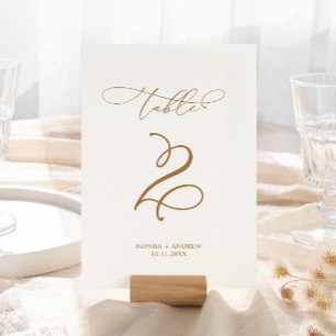 Elegant Modern Calligraphy Table 2 Wedding Table Number
