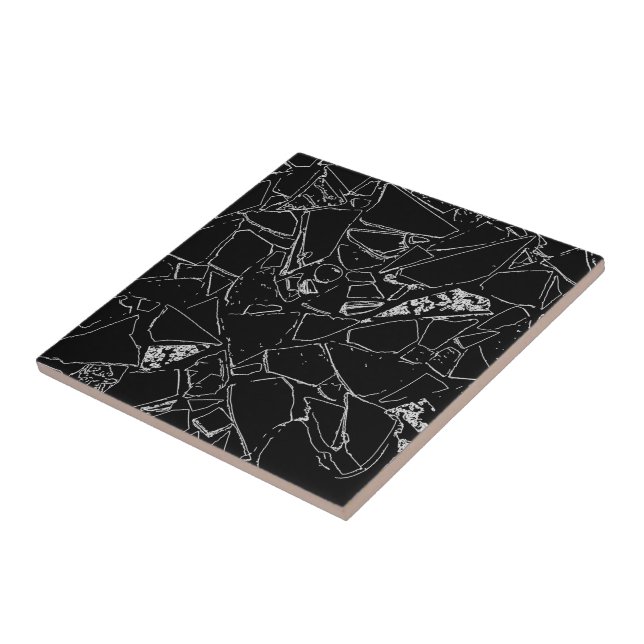 Elegant Modern Classy Terrazzo Black White Pattern Tile (Side)
