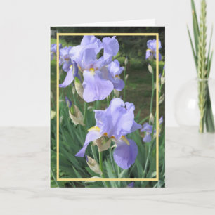 Elegant Modern Purple Irises Photo Golden Frame Card