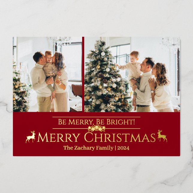 Elegant Modern Reindeer Christmas Family 2 Photo (Front)