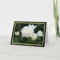 Elegant Modern White Roses Flowers Golden Frame